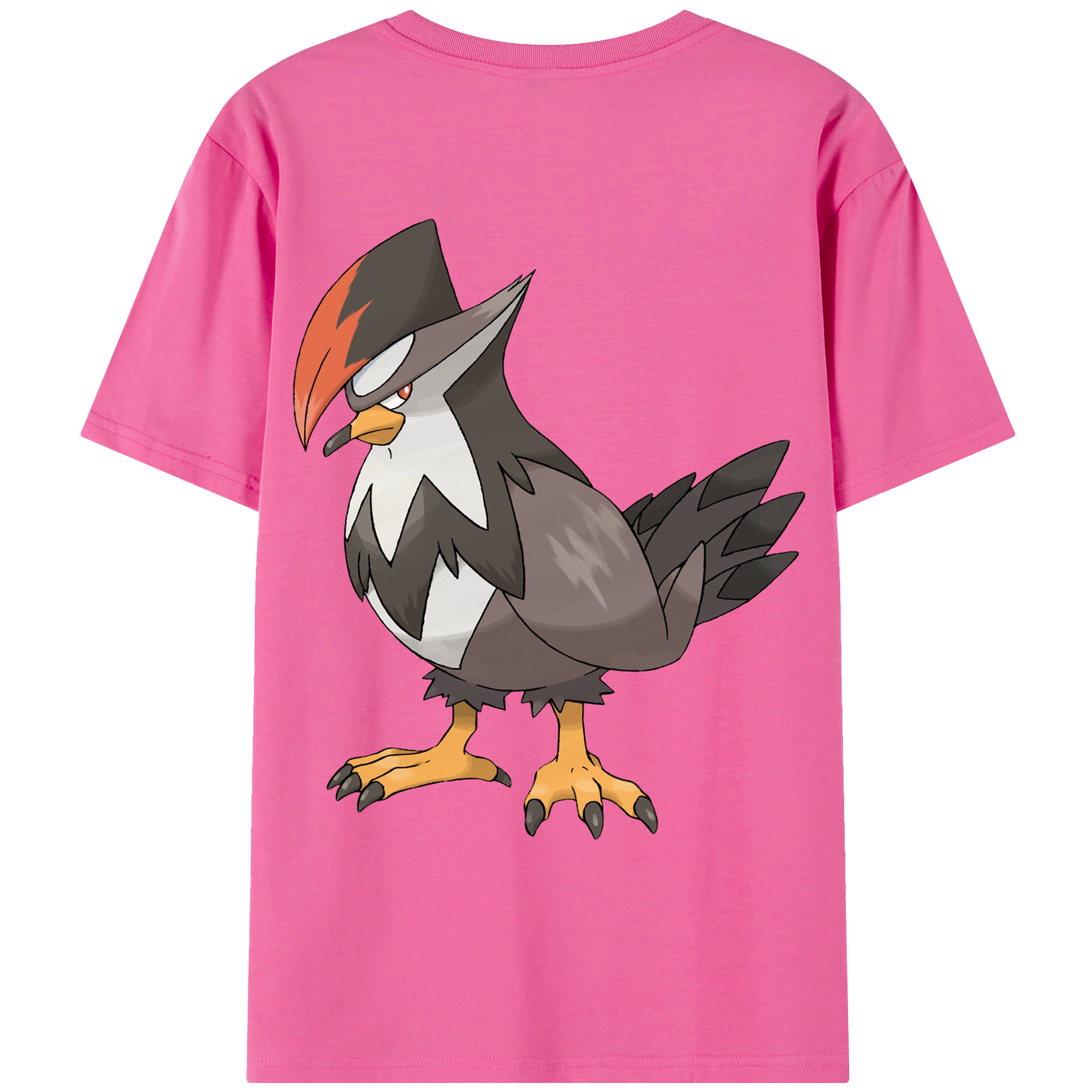 （画像用） ポケットモンスター Pokémon レディース半袖Tシャツ(バックプリント)